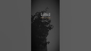 سورة الاحزاب ایات نمبر 41-44