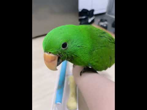 상큼이그냥영상