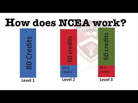 Introducing NCEA