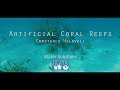 A short documentary about artificial coral reefs.