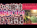 【野菜高騰】「キャベツの値段が3倍になったのは実は政府の陰謀でした   最強のコスパ野菜と高騰しても買うべき神の野菜を大暴露   !!!」を世界一わかりやすく要約してみた【本要約】 MP4