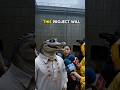 Crocodile Mayor - A Billions Dollars Project Bridge Failed in Front of Everyone