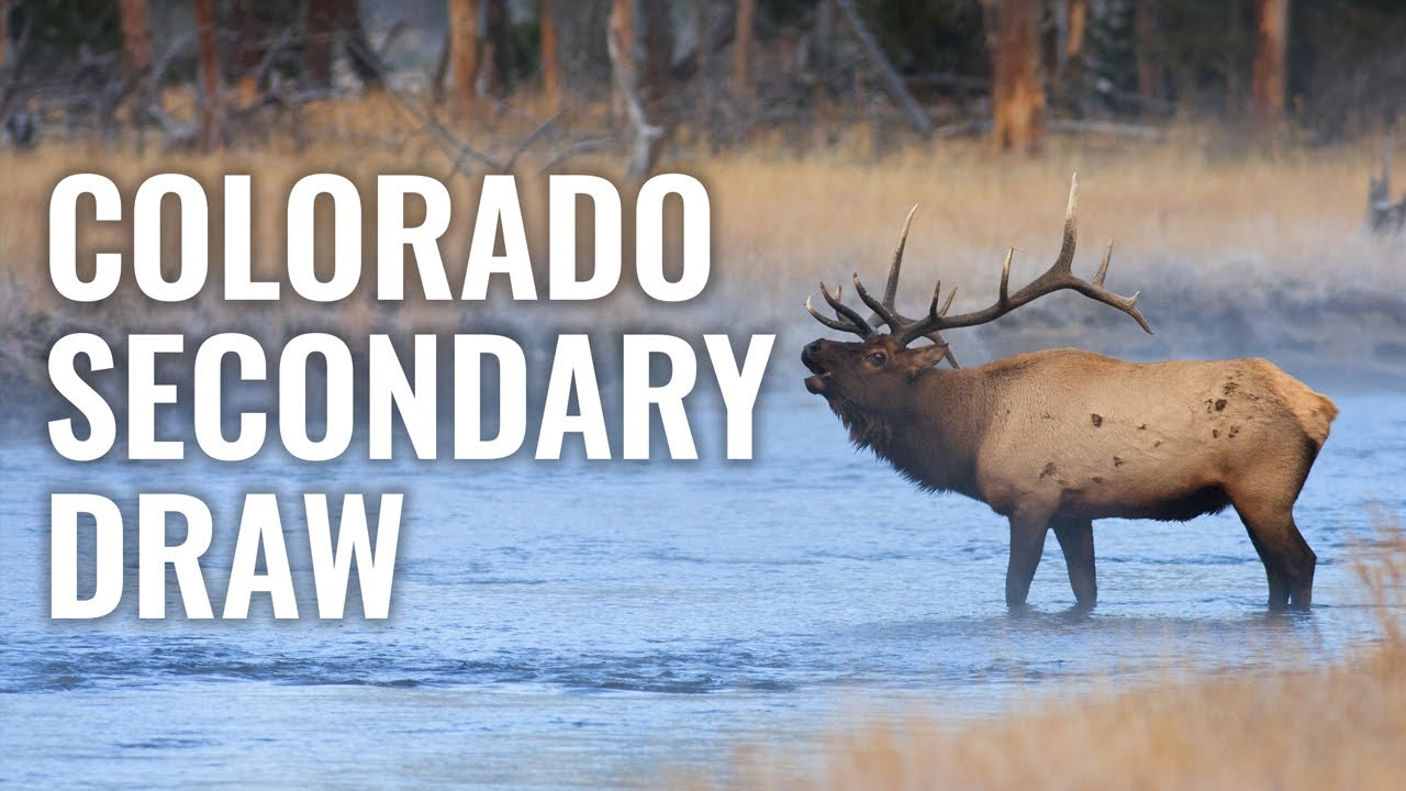 WHAT YOU NEED TO KNOW Colorado Secondary Draw YouTube
