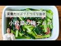 【栄養たっぷりつくりおき】小松菜の梅ナムルのレシピ・作り方