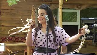 Ümmü Erbil - Kiraz Dalı Resimi