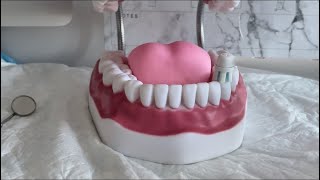 Dental ASMR: Teeth Cleaning and Dental Exam Using Real Tools