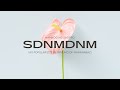 Sa Dinami Dami Remix - Hambog Ng Sagpro ft. Immuko