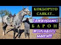 Саяпкердин бир күнү кандай өтөт?