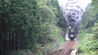 Steam Locomotive Train Yamaguchi C57C56 :SL やまぐち　篠直　重連　C57　C56　前編