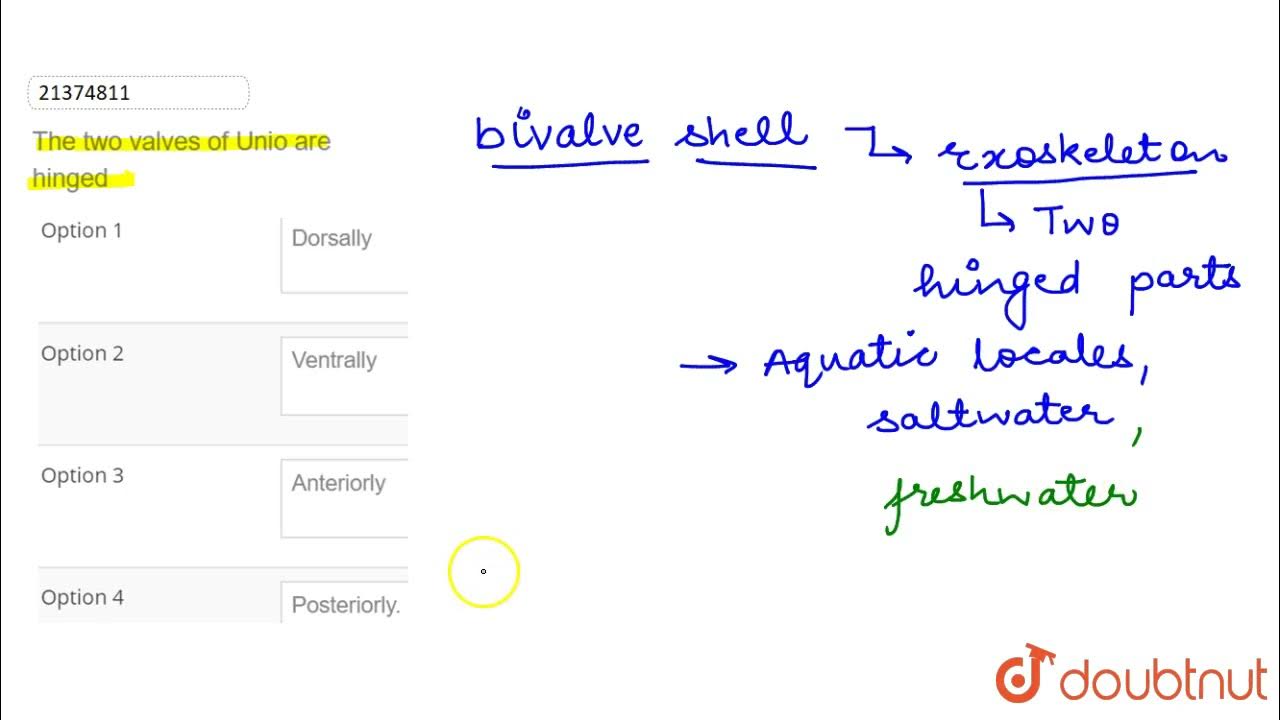 The two valves of Unio are hinged 12 MOLLUSCA BIOLOGY DINESH