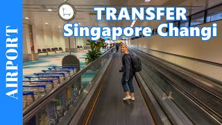 FLIGHT TRANSFER AT SINGAPORE CHANGI Airport - How to Walk to a Connection Flight - Transit Walk by Traveller & CopenhagenInFocus 20,785 views 3 months ago 10 minutes, 17 seconds