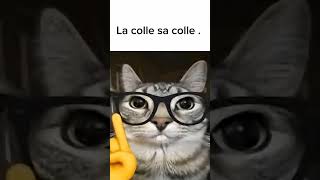logiquement logique
