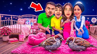 ELİF SİNEM BALKONDA YAŞIYOR !! ODASINI TAŞIDI YARALI KUŞ BULDU !! 
