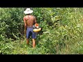 Brush Cutter in Modern Farming | Easy Shrub & Weed Clearance
