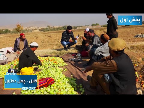 تصویری: نحوه تهیه گزارش مادی