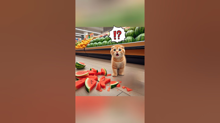¡No rompí la sandía! 🍉🌍