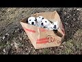 Poor 5 Puppies Rescued After Being Found Abandoned In A Box | Happy Ending