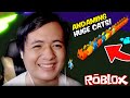 ANDAMI KO NG HUGE PUMPKIN CAT AT HUGE CAT !! - Pet Simulator X - Roblox