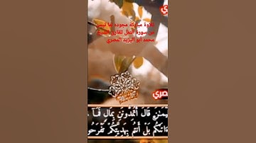تلاوة مباركة مجوده لما تيسر من سورة النمل للشيخ محمد أبو اليزيد المصري