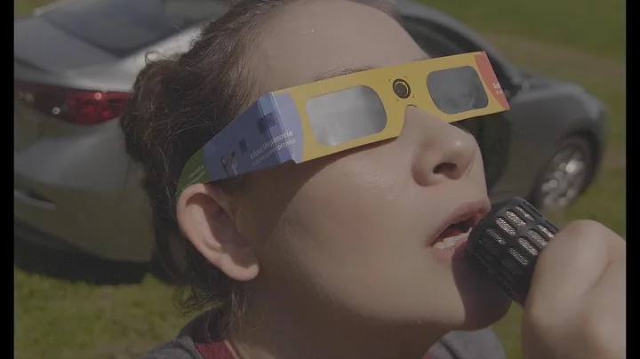 and spiders will destroy their own webs (BTS TRAILER)