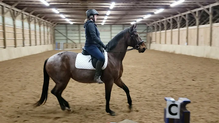 Lindsay Trimble, Walk Trot test A - Stepping Stone...