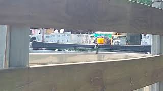 20210702嘉義市環保局回收車KEB-5166,ARZ-1873(烤漆後)