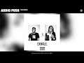 Audio Push - The Meds (Audio)