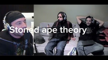 Joe Rogan and Duncan Trussell go in deep on stoned ape theory and psychedelics 😱👽
