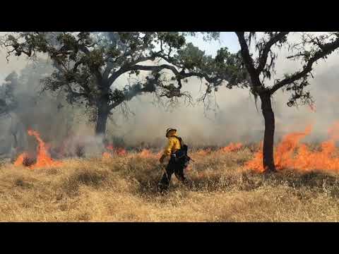 Video: ¿El estado de Sonoma está cerrado debido a un incendio?