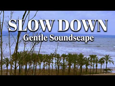 Emotional & Peaceful Soundscape | A Gentle Space to Slow Down