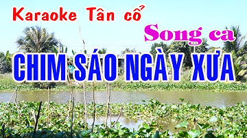 Karaoke tân cổ CHIM SÁO NGÀY XƯA - SONG CA