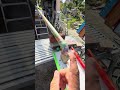 Colorful Wooden Ball Marble Run ASMR & Long Transparent PVC Pipe Slope 6