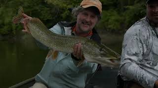 pike on the fly like hot butter!!!