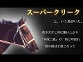 【淀の王者】スーパークリーク🐎