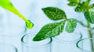 BULK BOTANICAL EXTRACT OIL AND POWDER SUPPLIER-Green Spring