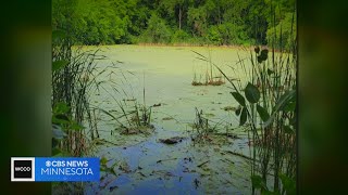 St. Anthony fire chief jumps into pond to rescue boy with autism