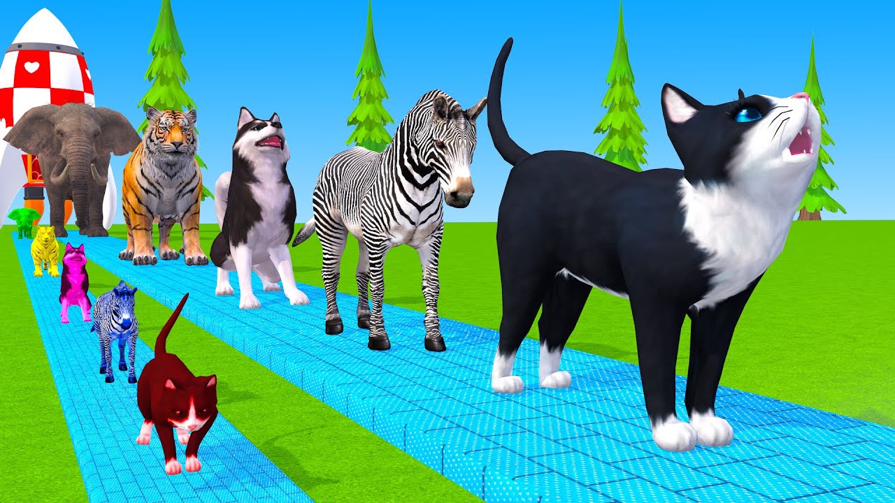 Long Slide Game With Cow Elephant Gorilla Hippopotamus Tiger 3d Animal Game Funny 3d Animals