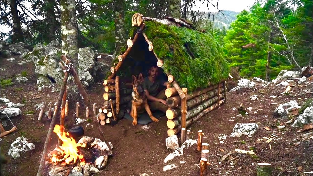 Зимний лагерь в пустыне с моей собакой — строительство приюта для выживания в Бушкрафте