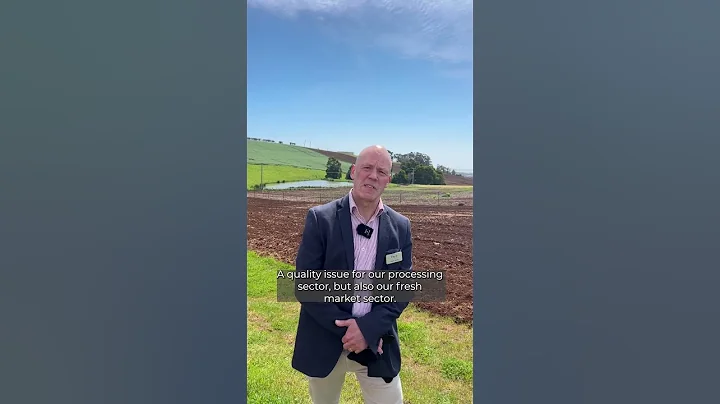 New research will respond to potato mop top virus in Tasmania