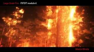 Large Scale Fire - Forest Fire