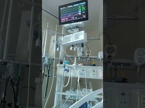 At ICU Shorts 