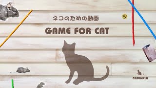 【猫用動画MIX】ねずみ・ひもなど 30分 GAME FOR CATS 1