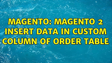 Magento: Magento 2 Insert data in custom column of order table