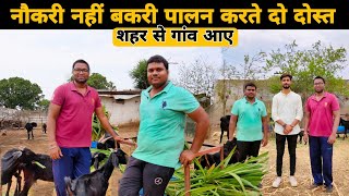 द दसत न शर कय दश बकर पलन How To Start Goat Farming In India Desi Bakri Palan