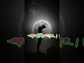 #shortvideo #vlogwithsohelvillagelifestyleinbangladeshbeautiful #foryou