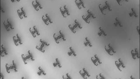 Microscopic Walking Robots