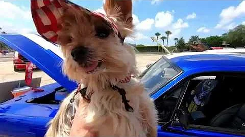 NSRA TAMPA FRIDAY 4-5-2019