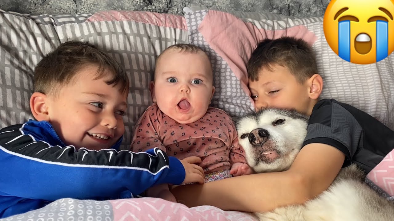 Husky Thinks She Is My Kid & Babies Mum!! [CUTEST VIDEO EVER!!]