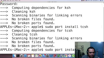Learn Bash commands on macOS in 100 minutes [CRASH COURSE]