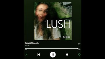 the spotify shuffle experience